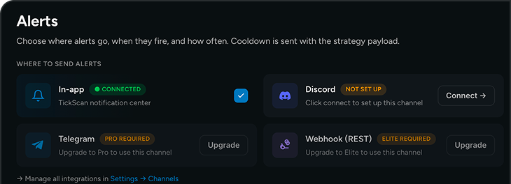 The alerts step: In-app connected, with Discord, Telegram and Webhook channels